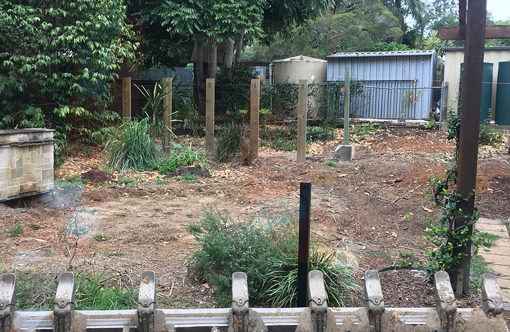 Shed Pad Before